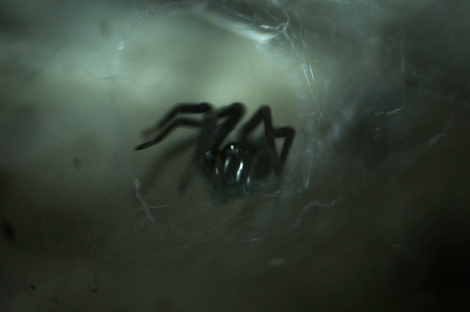 Marianas Web — The Danger Part of the Internet!