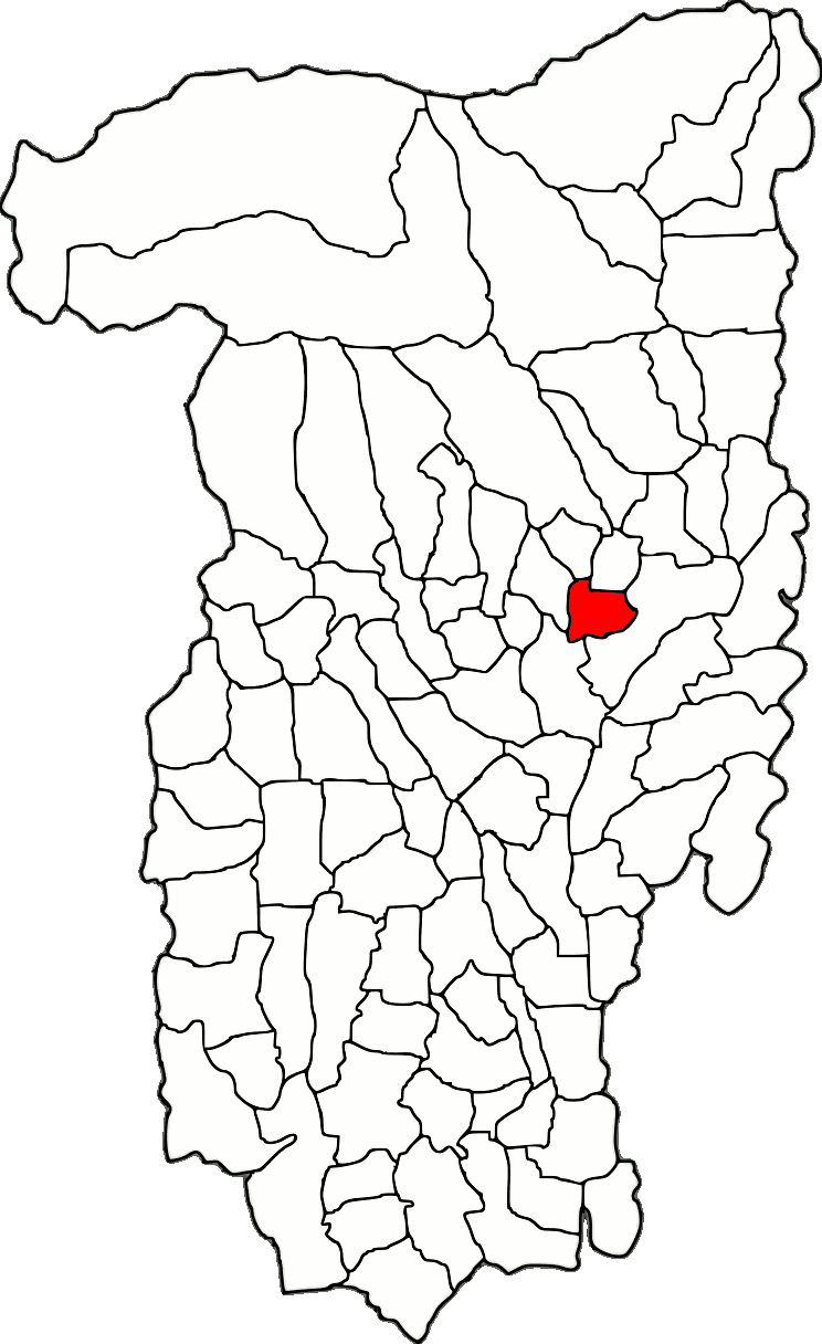 Lage der Stadt Ocnele Mari im Kreis Vâlcea (RO).