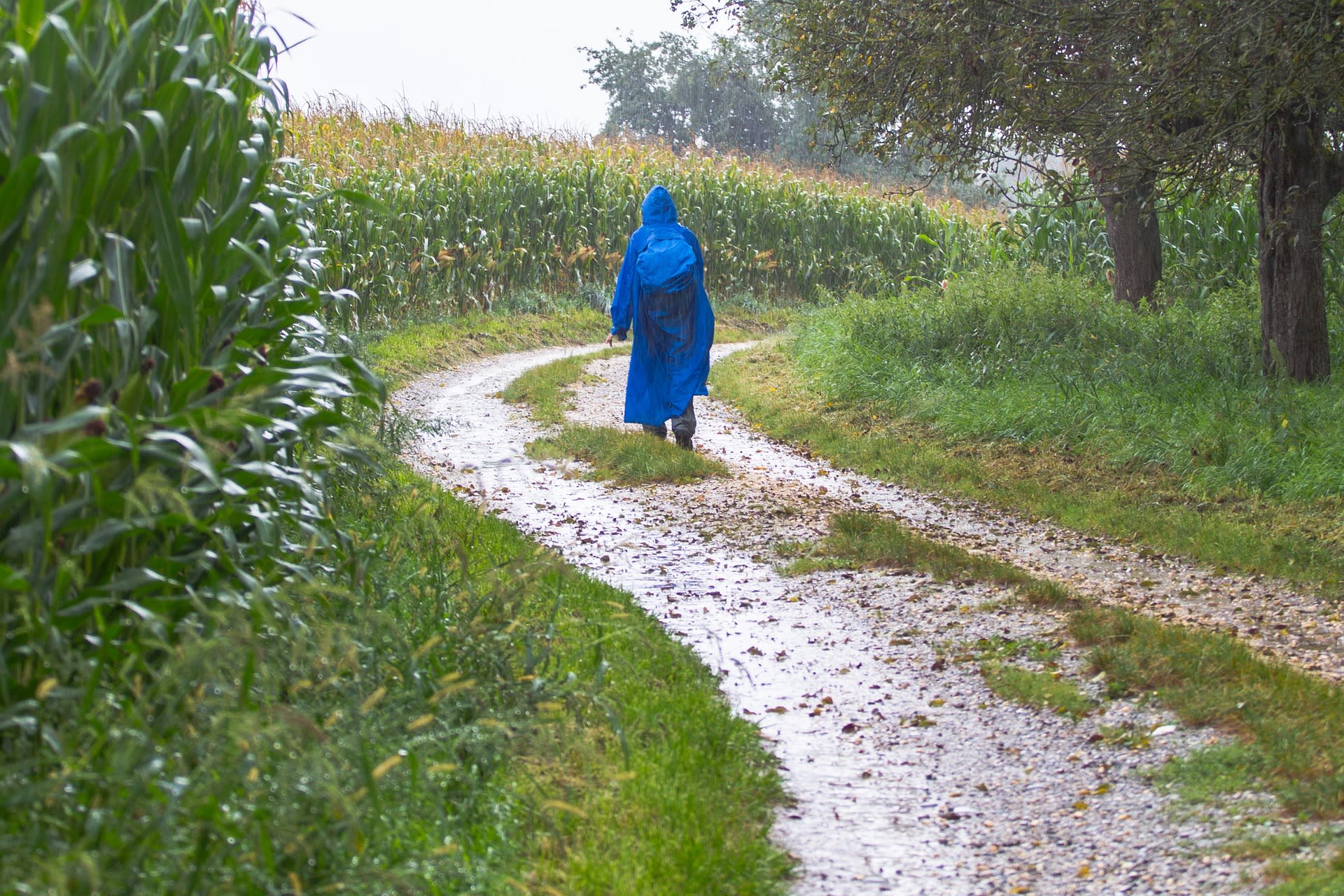 Wandern bei Regen: Wann es sich lohnt und wann du besser zuhause bleibst