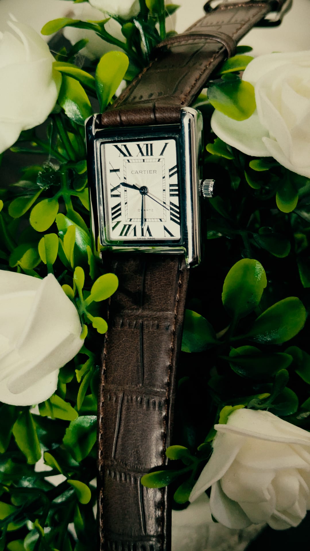 Cartier tank solo (Brown) image 1