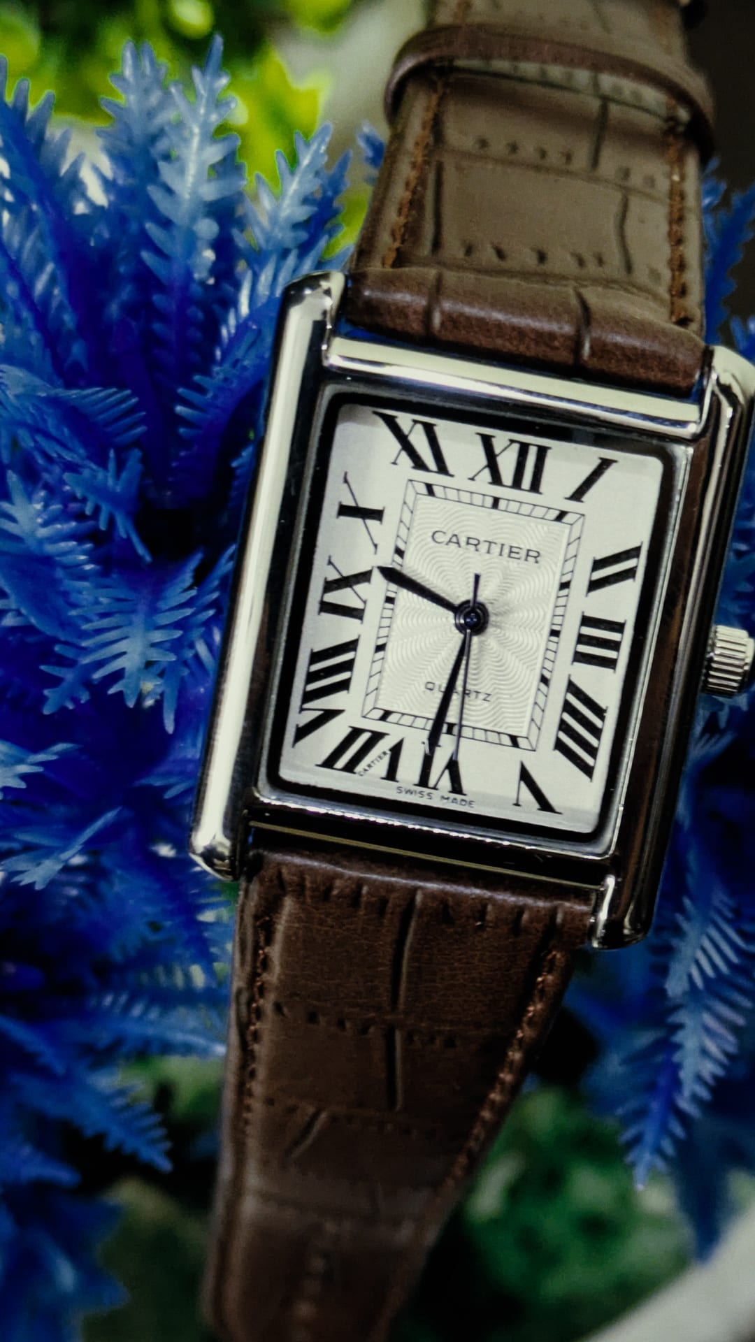 Cartier tank solo (Brown) image 2