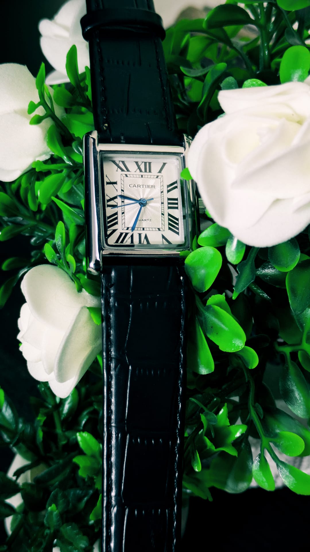 Cartier tank solo (Black) image 2