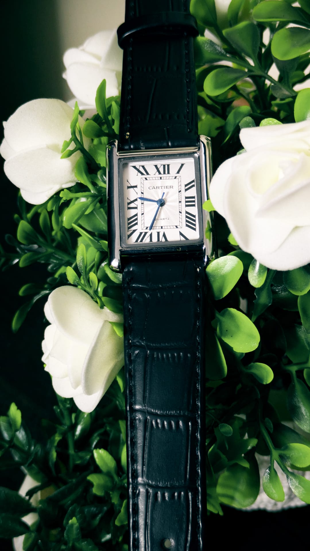 Cartier tank solo (Black) image 4