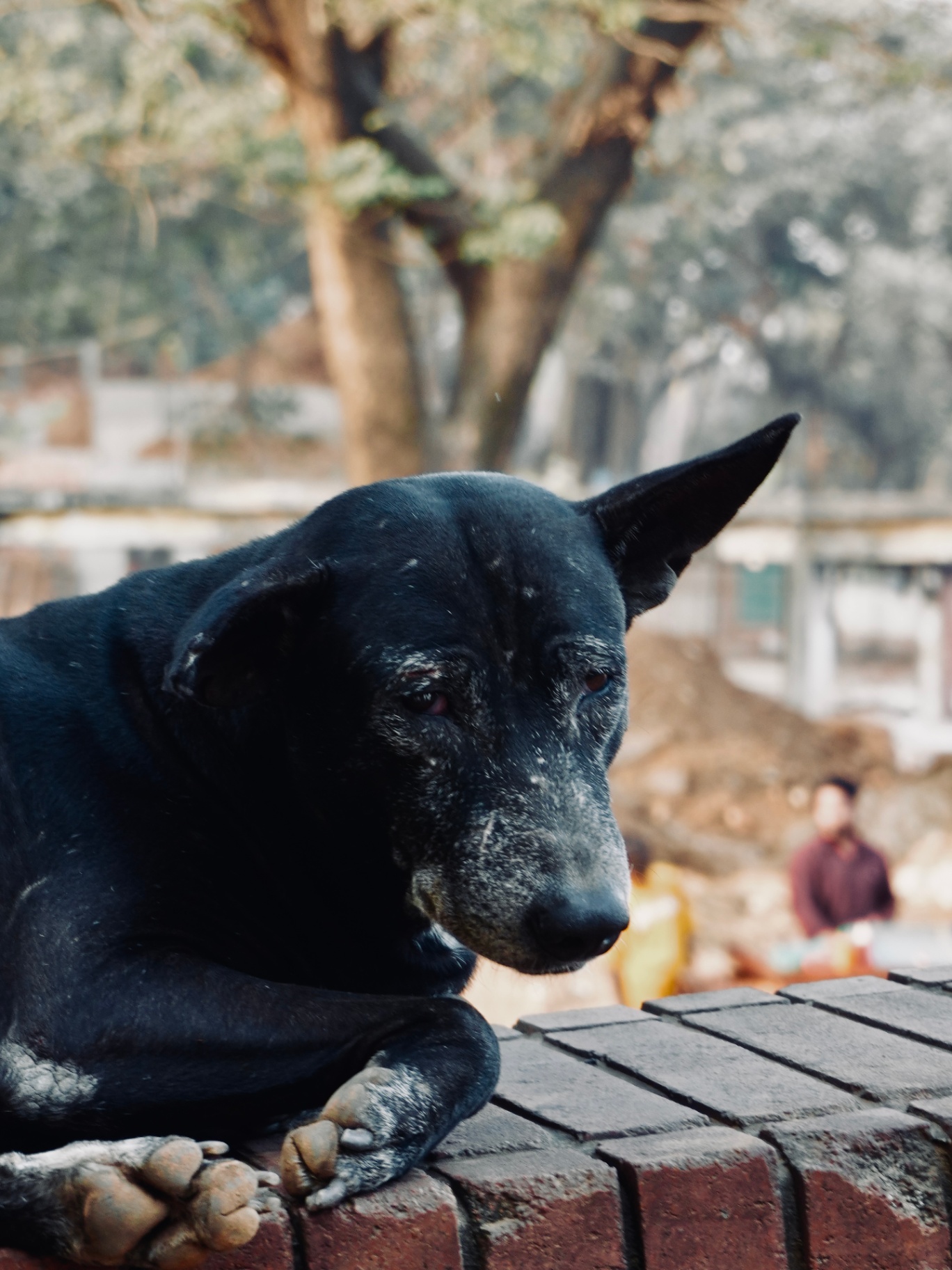 Quiet Watch — Shakil Ahmed (@shakilxvs)