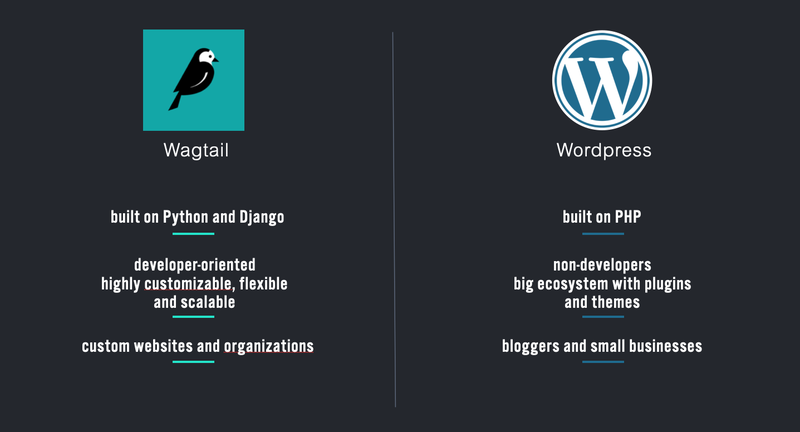 wagtail vs wordpress