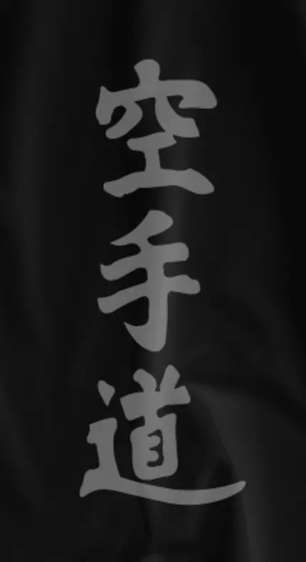 Banner Karatê