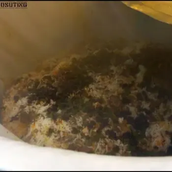Nasi Beryani