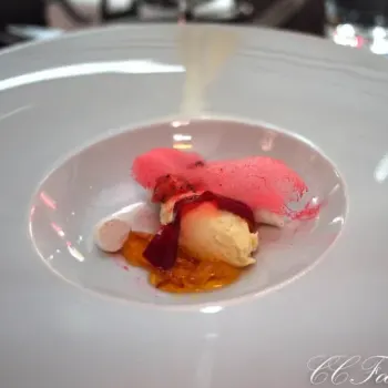 Charred strawberries saffron gelee, vanilla cream, freeze dried strawberry meringues, paired with Gin, Jasmine Lemon Sour Champagne Grapefruit peel
