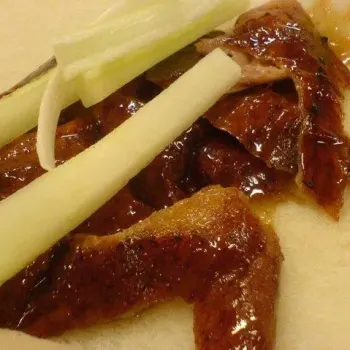 Duck Broth