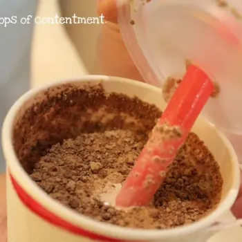 Vanilla Ice Cream Laced With Nutella