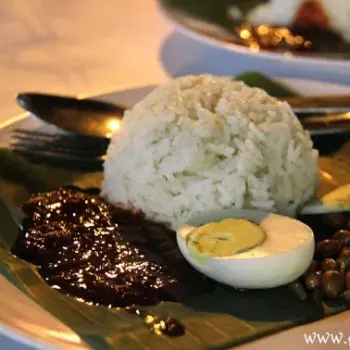 Nasi lemak Biasa