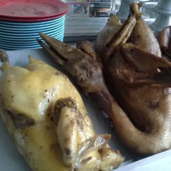 Super nice duck and pork