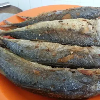 kambong fish