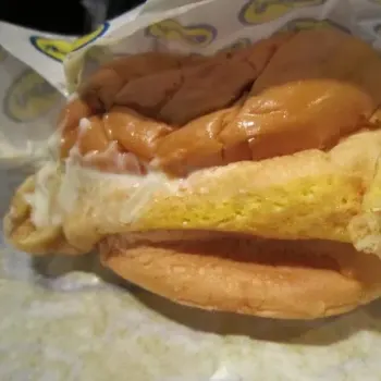Ayam Burger