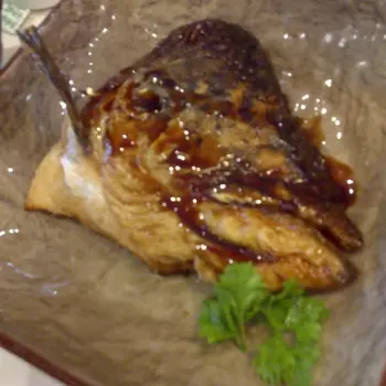 Salmon Head