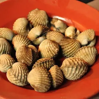 Cockle
