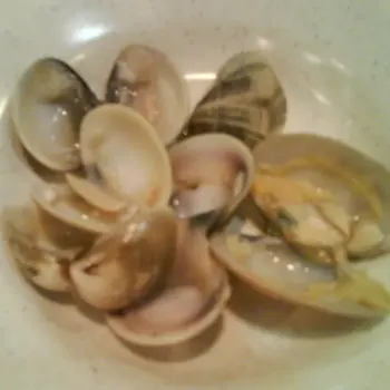 Clam