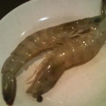 Prawn