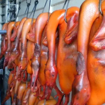 Roast Duck