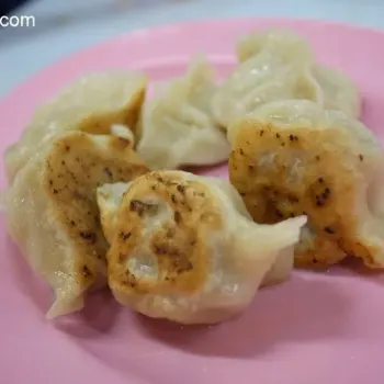 Fried Dumpling