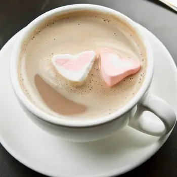 Hot Chocolate