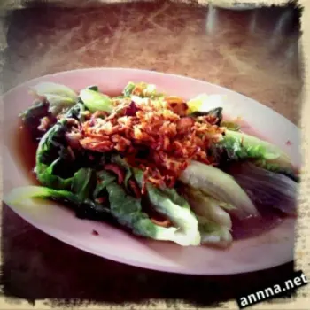Veggie (Sang Choy)