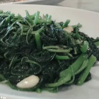 Young Spinach