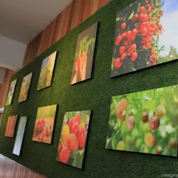 Interior Decoration