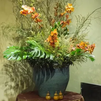Interior Decoration
