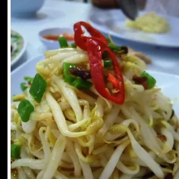 Blanched Beans Sprout