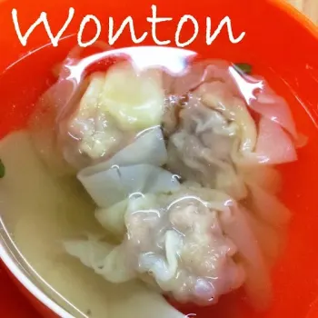 Wonton