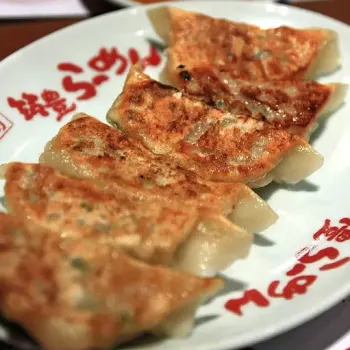 Gyoza