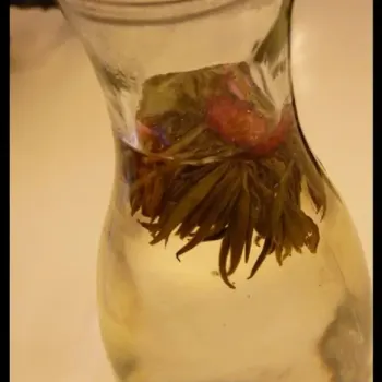 千日花茶 Thousand Flower