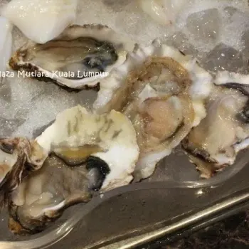 Fresh Seafood Such At Oysters, Mussels, Prawns, Crabs & Squids