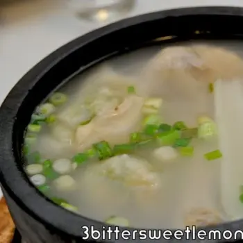 Hot Stone Spring Chicken and Wanton Soup
