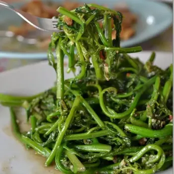 Stir-fried Paku (Wild Fern Shoots) with Sambal Belacan