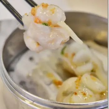 Scallop and Prawn dumplings