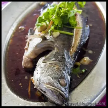 Steam Sea Bass
