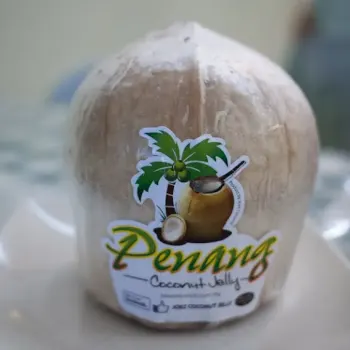 Coconut Jelly