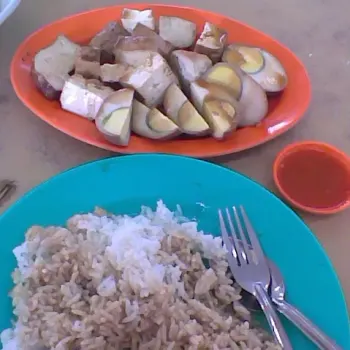 Braised Taufu & Egg, Rice