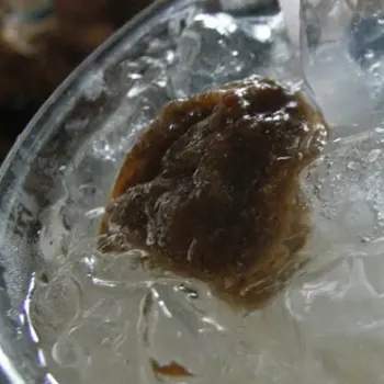 Nutmeg with Sour Plum juice (豆蔻酸梅水)