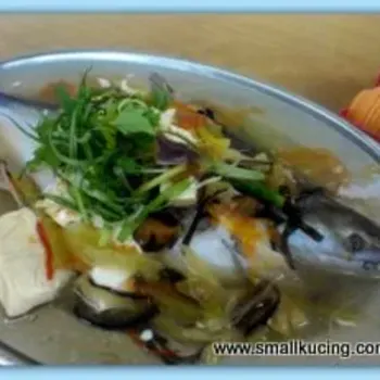 Teo Chew Steamed Patin
