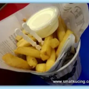 Ordinary Mayo Fries