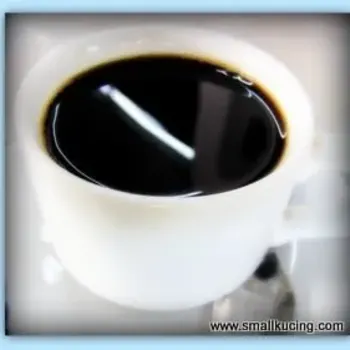 Kopi-O