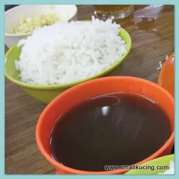 Bak Kut Teh Soup & Rice
