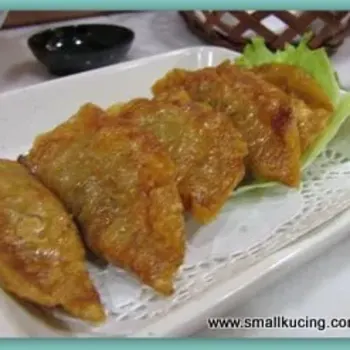 Fried Dumplings