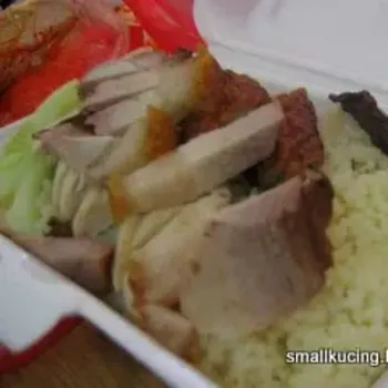 Roast Pork and Roast Chicken Rice