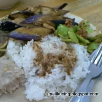 Steamed Minced Pork, a large piece of Steamed Fish, Brinjal and large scoop of Petai