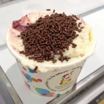 Raspberry Sherbet