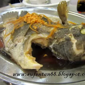 Steamed Sea Grouper Fish with Chef's Sauce